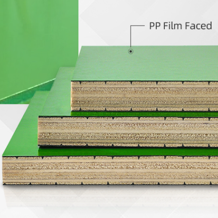 Green Plastic PP Film Faced Plywood