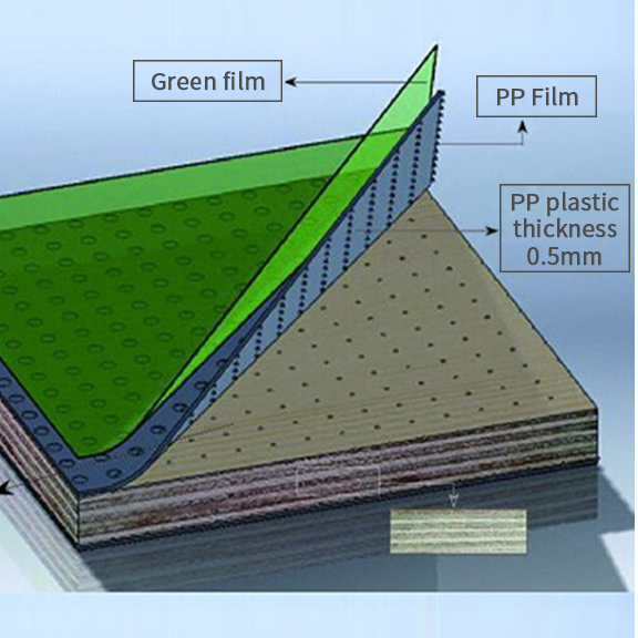 Green Plastic PP Film Faced Plywood